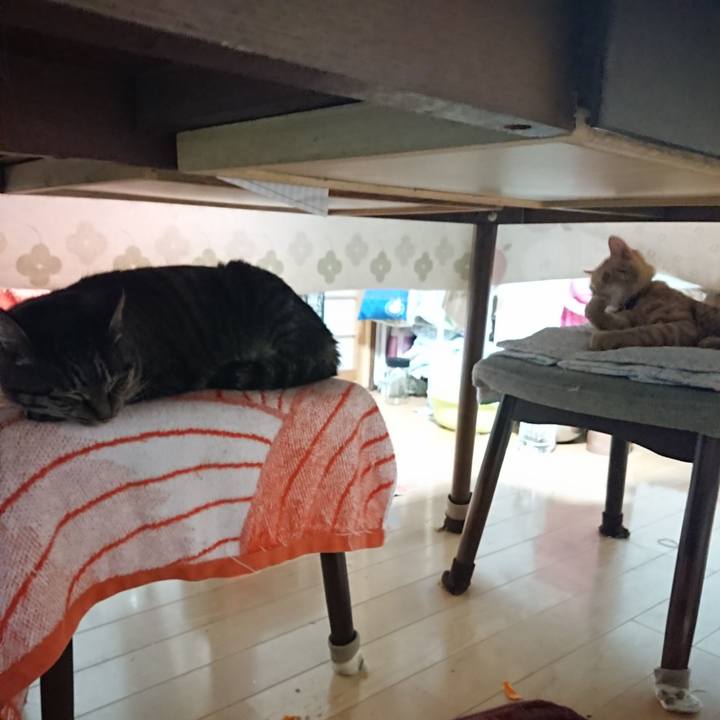 00000cc5 8161 4e56 bcbc d35e55d331c3 1638737560881