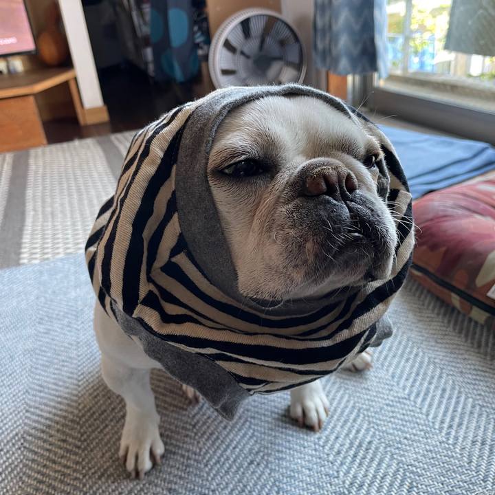 00004a82 7d5b 4739 b53f 92d60466c1cc 1745968761399