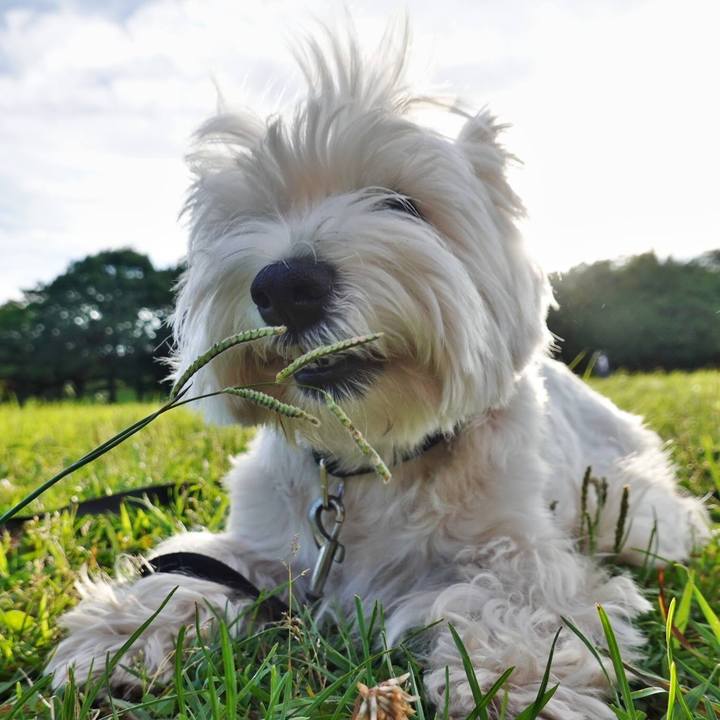 00006931 f381 4ee2 9500 417014081449 1530446117872