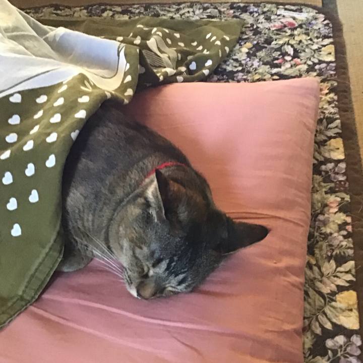 00007ffc f7d6 4990 858b 8dc5afbda4f7 1678437235566