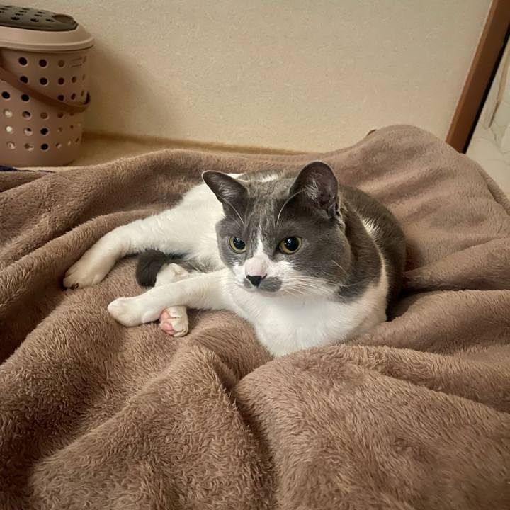 00009925 a9c6 4c28 82a6 d7a203d318a2 1678492761979