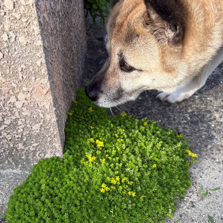 00009e85 a6bd 4046 8132 2a7e73c2fc6f 1750251941684