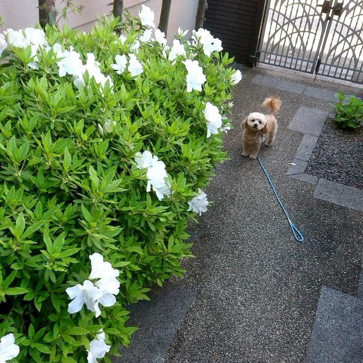 0000a602 9601 46ea 803a 8351bbc76874 1524127823160