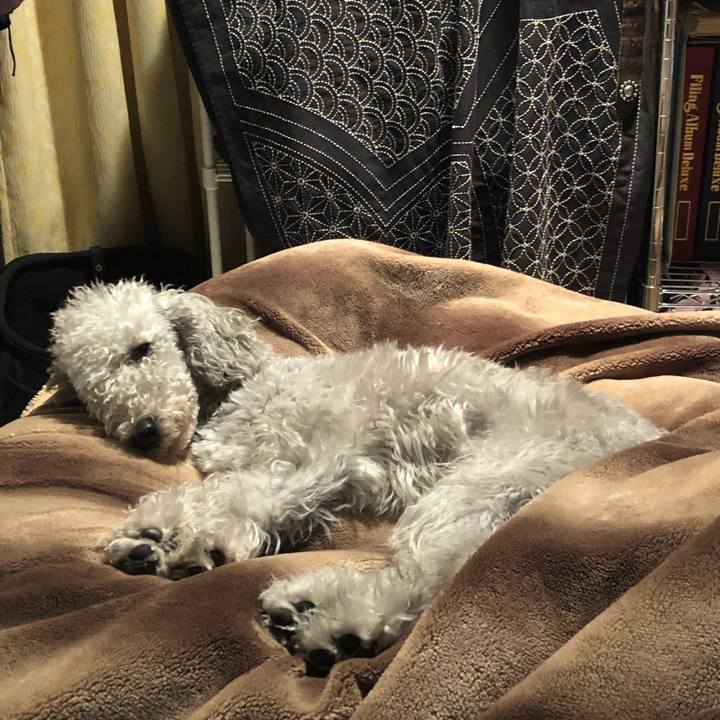 0000ff77 c127 4c20 a44b 49b4962d9be9 1582378199255