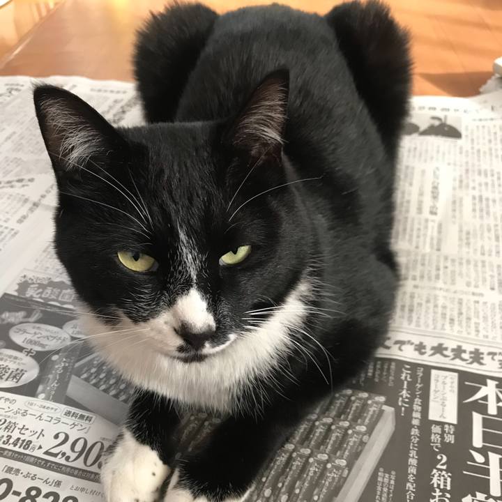 0001343b 1ae2 4f0f 8e88 fd630158e56d 1554349535086