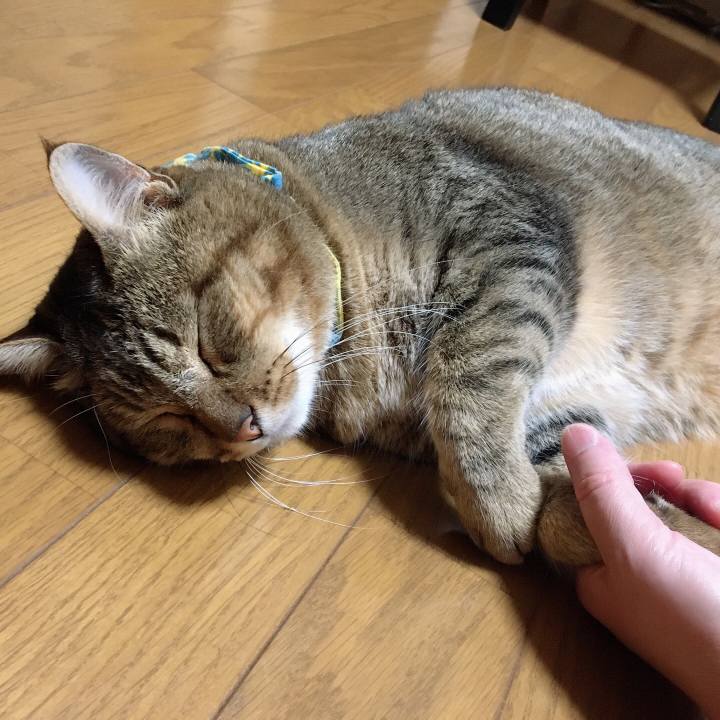 000168e8 6f86 4b8a b079 02e16658fc67 1598063322964