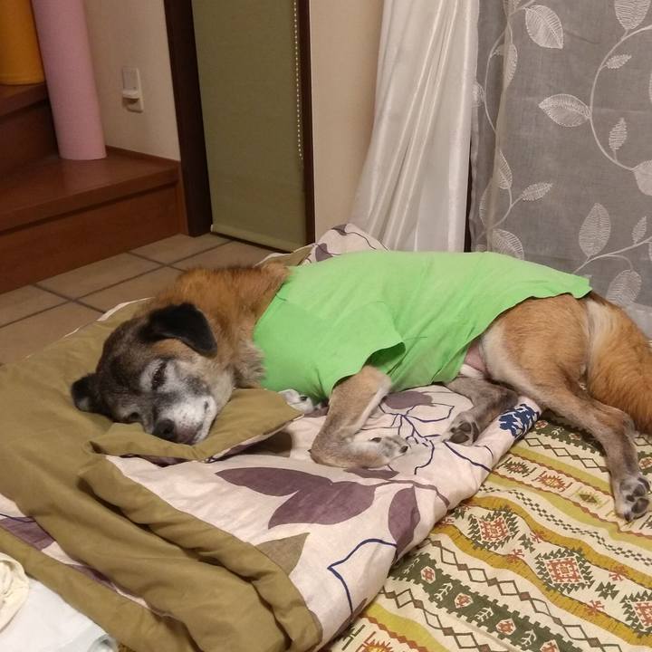 00016a01 7b77 42e9 be46 00fa265f53ab 1571096507165