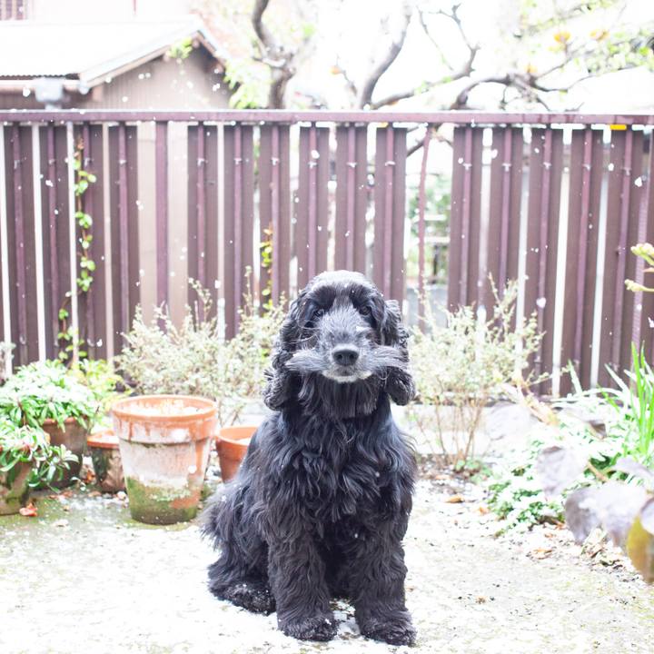 00017813 12e5 4ee1 bace 3c27f6a248ab 1550200264214