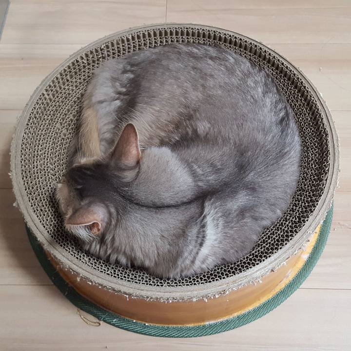 0001a139 ddb7 4fd6 87f2 05fe89227fa8 1587193289297