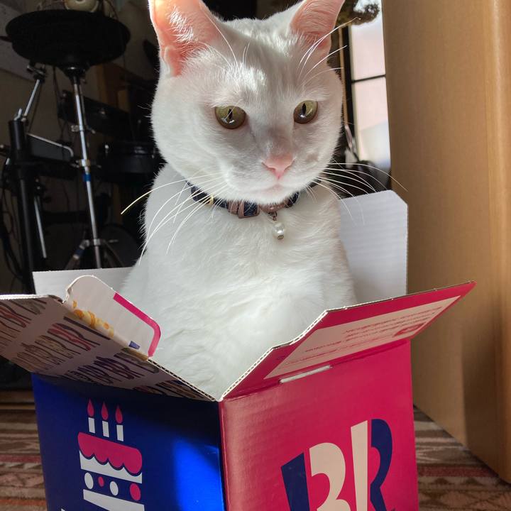 0001abd9 f03e 4d51 bb23 4b4f463c0419 1648389407463