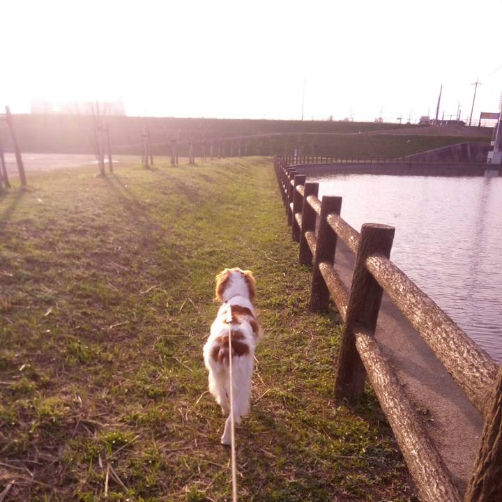 00020792 f8a5 4b1b 9d08 c6a767b0ac93 1520854381587