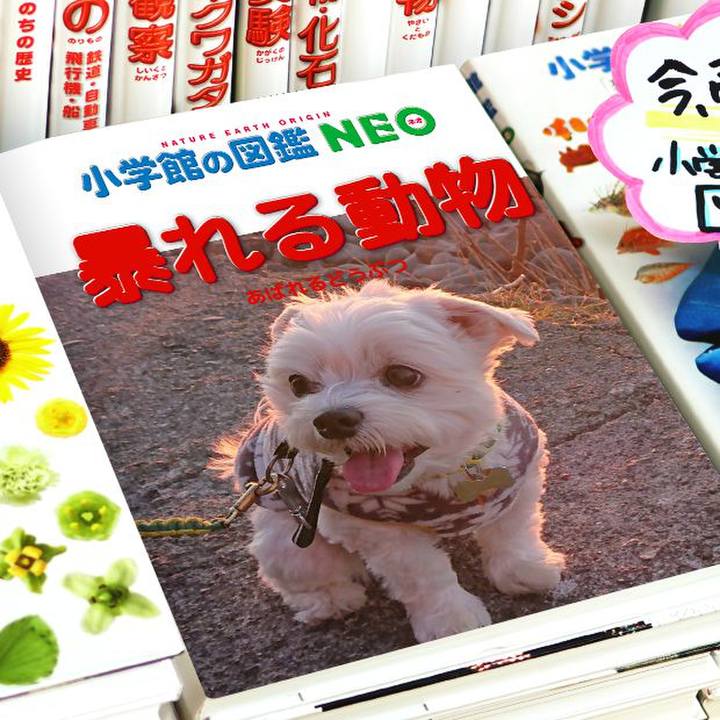 000210be 4428 40b0 a24b cddd0d304f10 1578190250950