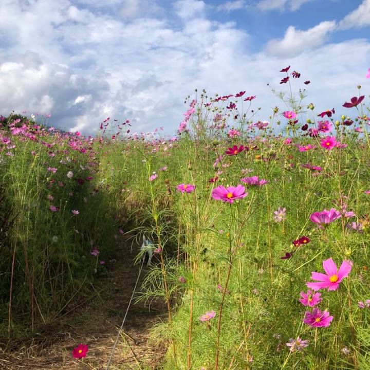 000244cf 5578 4bd1 8435 9034fc36acc1 1600308426202