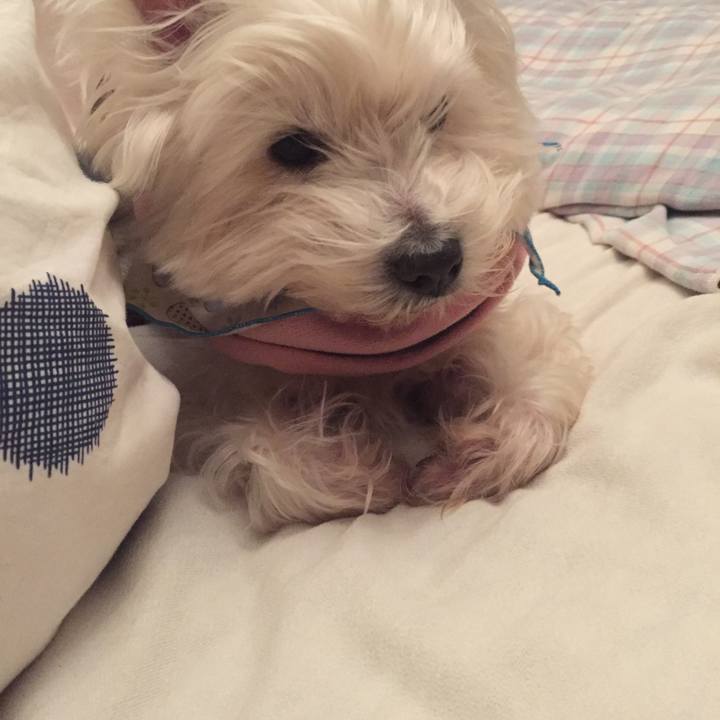 00028921 79e9 42e4 89e5 b6b42c1f1d64 1519655476763