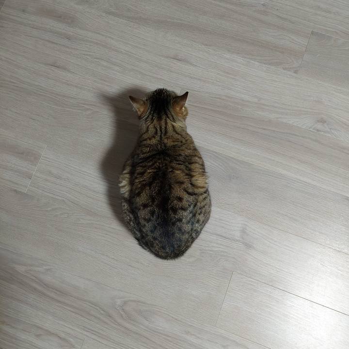 0002cd44 de93 46cf 9458 9301feb65262 1649362762290