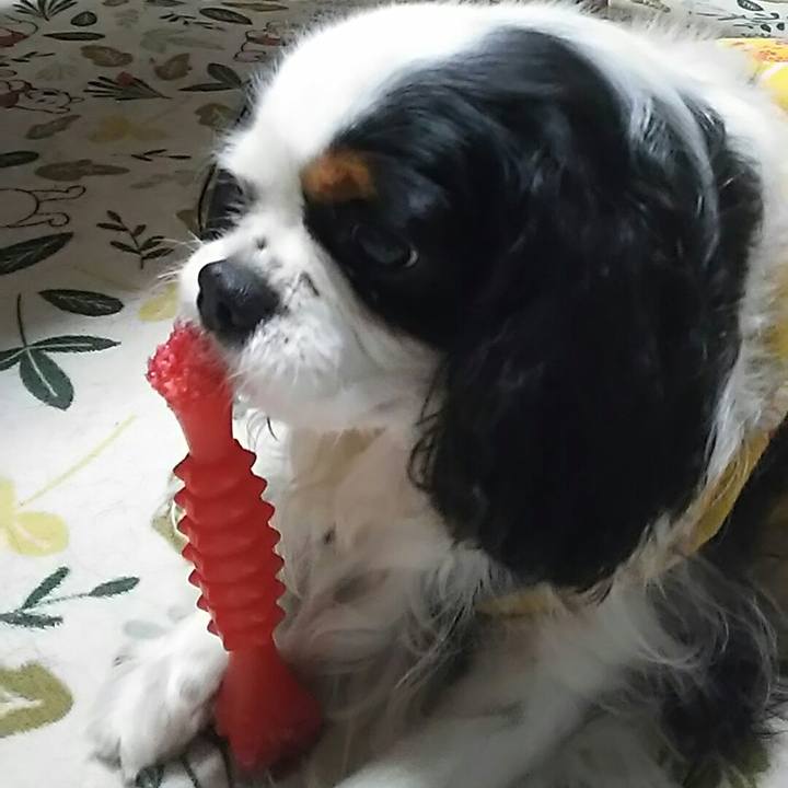 0002d270 935d 4e16 9985 b52d832b53de 1549624452910