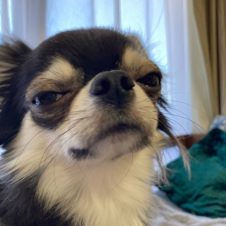 0002d679 b463 44ba 8da5 7f419a3ddaf5 1641216509207