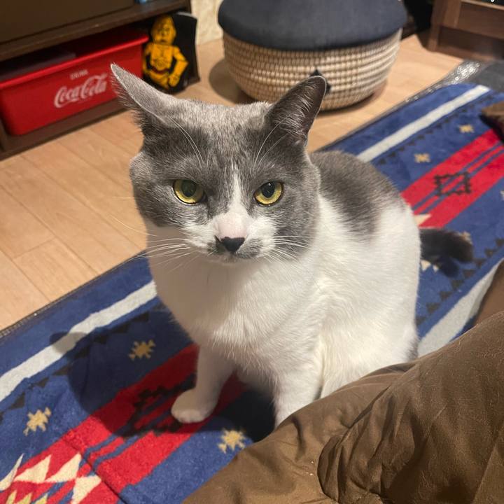 0002dd0a 2863 42b6 82f3 8b86291a8d33 1674053745580