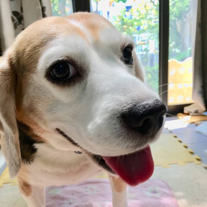 0002ff81 ec4e 4f18 bf84 9642b11a237f 1557978768761