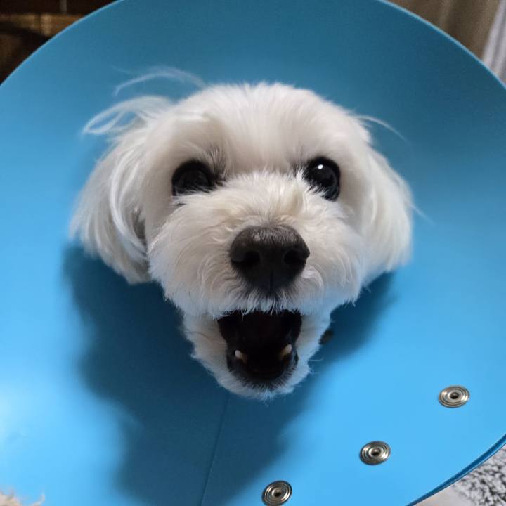 00034e7a 03f9 4c8e 8467 e3dc97cc6d16 1772808988992