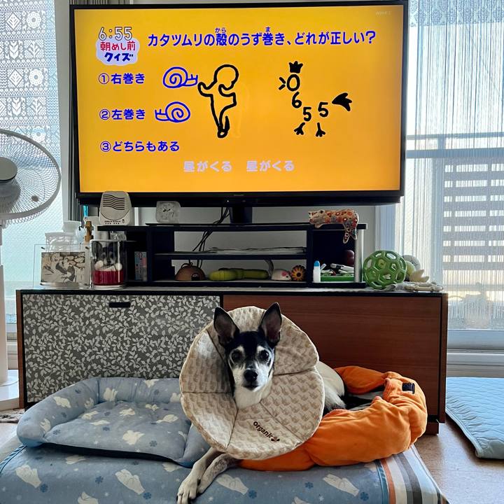 00037042 aa7b 4c99 99d4 37c33521c38d 1654640251082