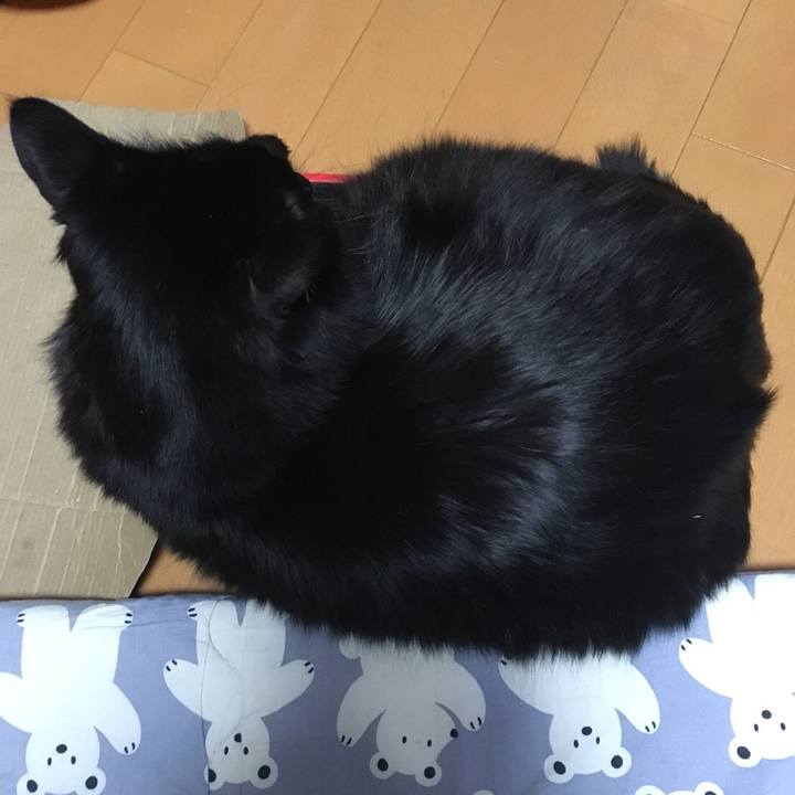 0003af51 70c8 44bf b0f7 7796e0d6f5c8 1519429860069