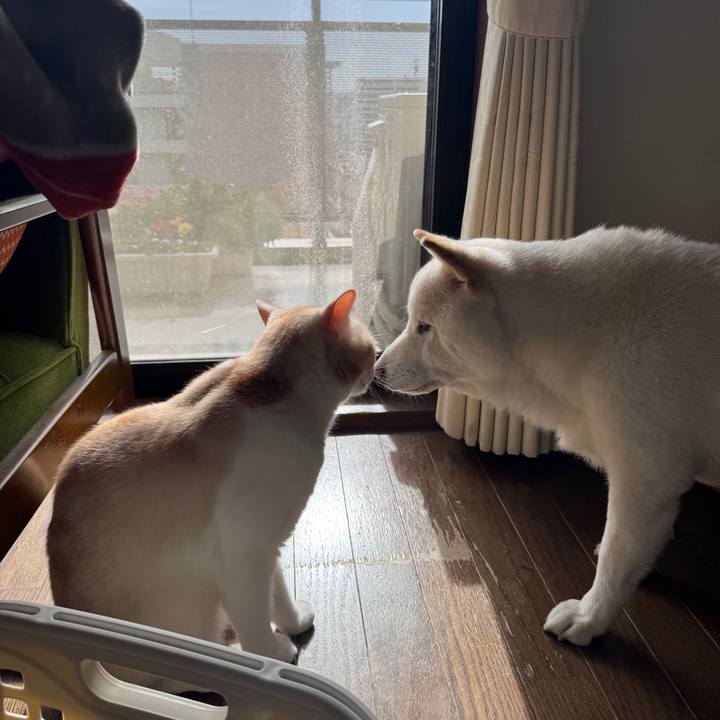 0003d530 c5df 4599 9100 a127112baaa4 1762047931039