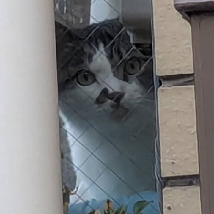 0003debd 7925 42c1 bd6d 8c3479d61ee1 1774564458160