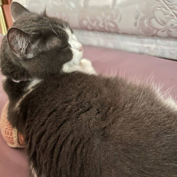 00041a69 5240 42ce ac8d ae963160f14b 1769060409804