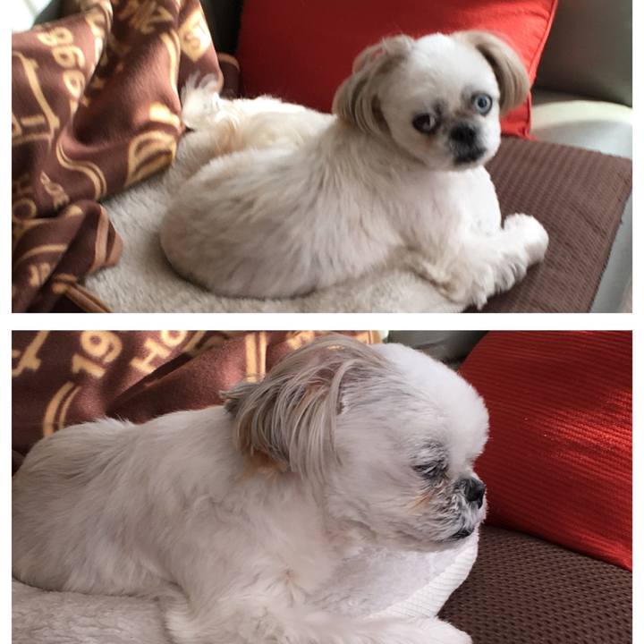 000423fa b046 4dac aa1c 886e6961ed65 1580995809090