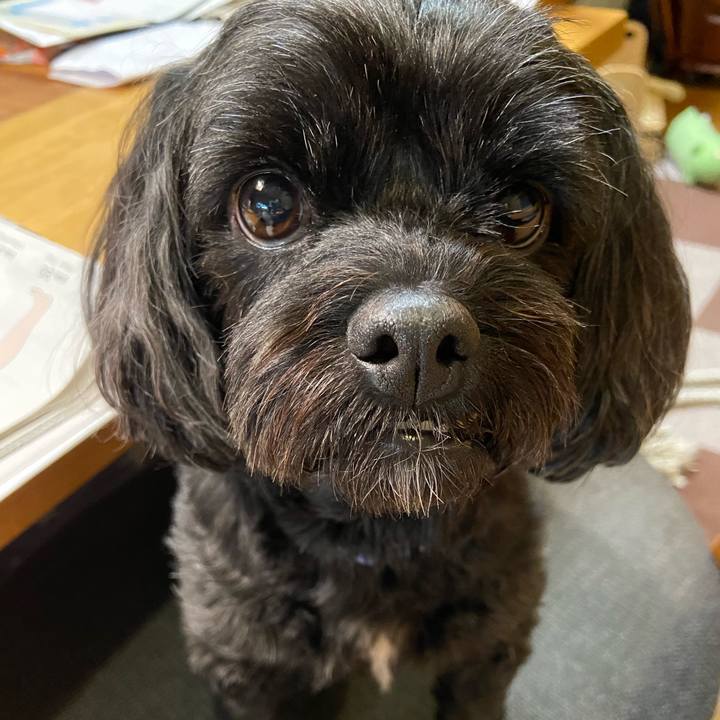 000453e4 6ac9 42c6 a1b4 b914e8472c2c 1661352263927