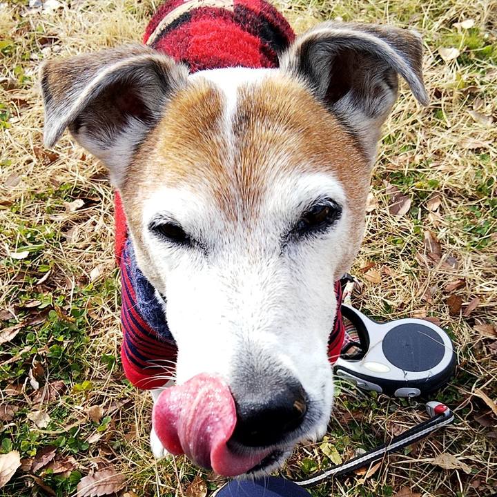 000456ab faba 42fe b1f4 5b6ade2ef496 1579412629057