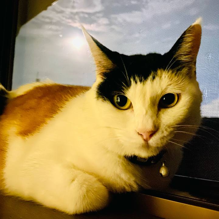 0004577d abcf 41ba 9801 8596202b235d 1662899441203