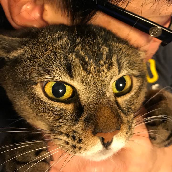 000492c7 5be6 47a3 a7f3 ec3e58e8a9e8 1510575486466