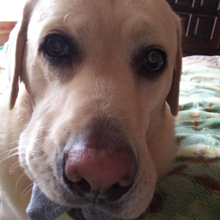 00049a6e 58ba 4406 9d1b 4d10306fd8e6 1571459255116