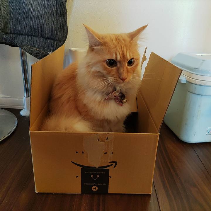 000503f6 f98a 4074 84bf 2a038b9d4147 1669338345980