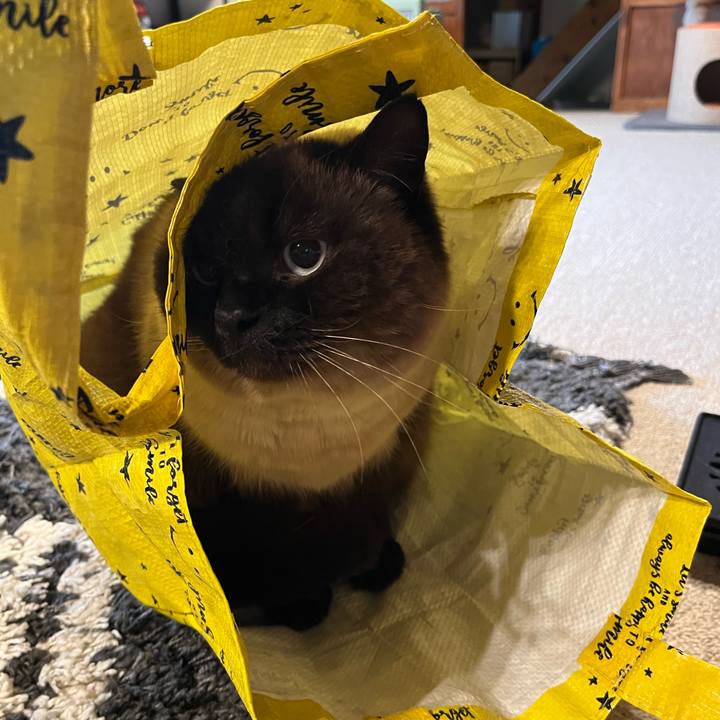 0005378f 471f 4a41 8977 c0127bdbf906 1651307568342