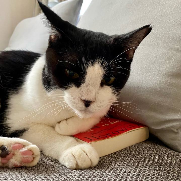 00054791 08b8 49af 836e e5db8fa4cf83 1726486424152