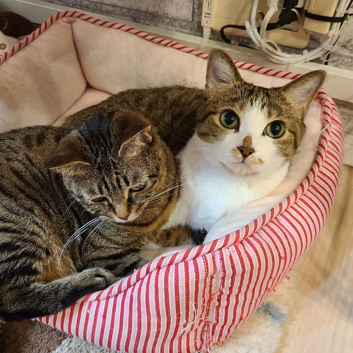 00054b4a bac7 4846 a870 67df55cc17ae 1669815128430