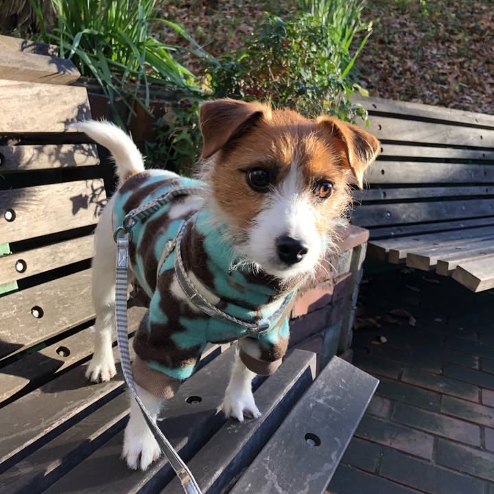 0005922f 0bc7 4c1d b0ca 1b9091034a3a 1546125551784