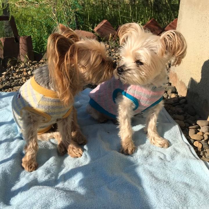 00059d96 a4d9 4eb3 9808 9ddc0f2fb930 1561358220353