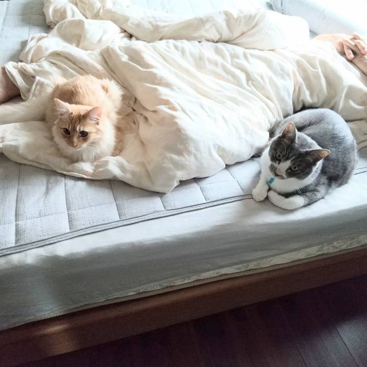 0005c5cb cb9b 4b48 924a 80d7e3f56abd 1621477959592