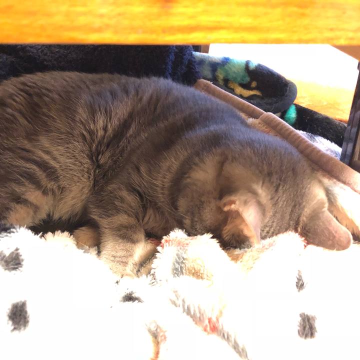 0005d1df 992e 4cef a906 aaff3c9f2415 1524609870065