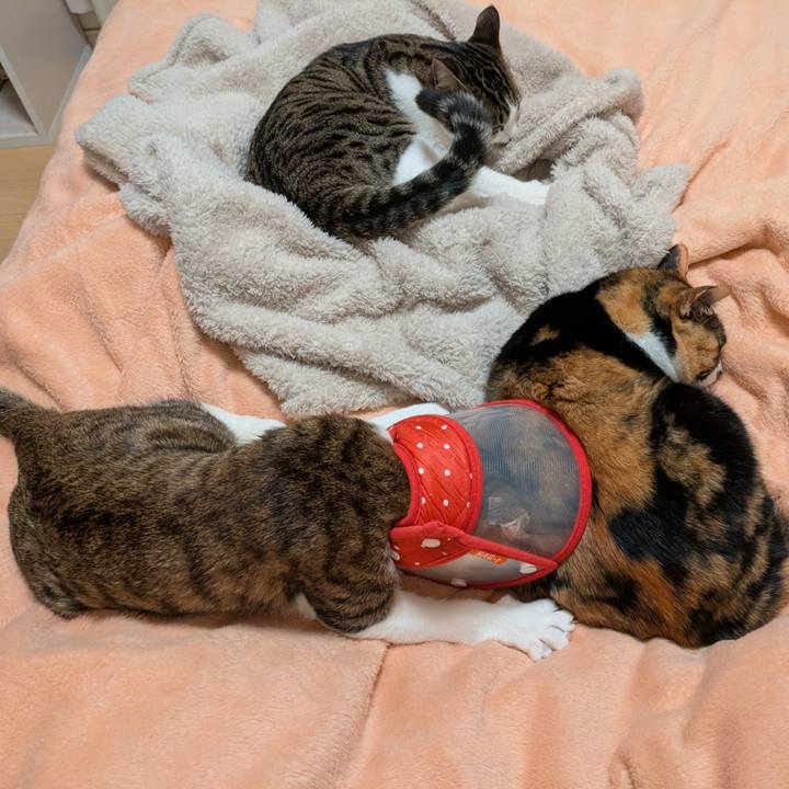 0005ded1 752e 4d27 8ad2 ad95ff003578 1742809986915