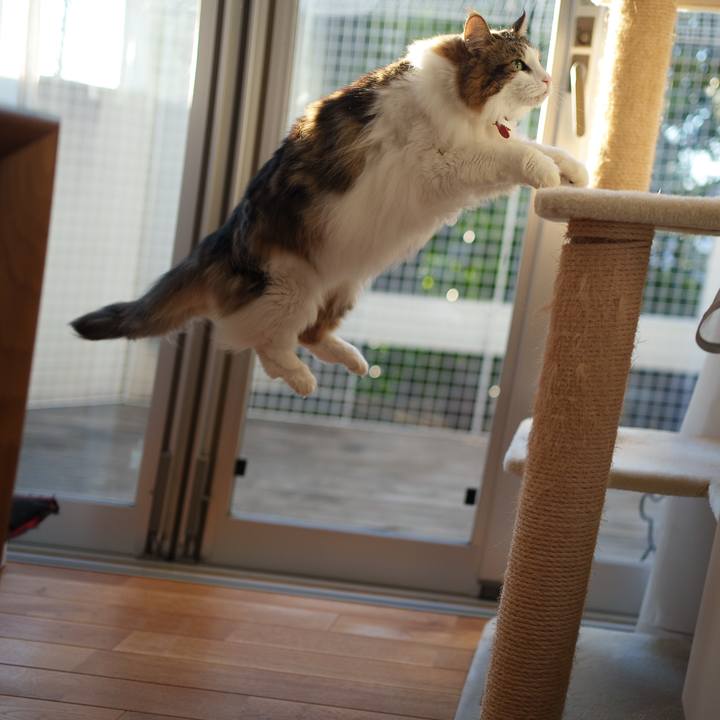 0005ecad d632 4df4 a7c5 21b8b421734f 1734942069657