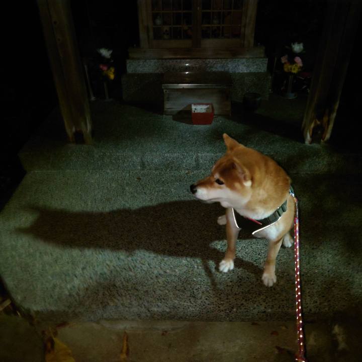 0005f837 ef27 46dd a2c6 027dead58151 1766015829915