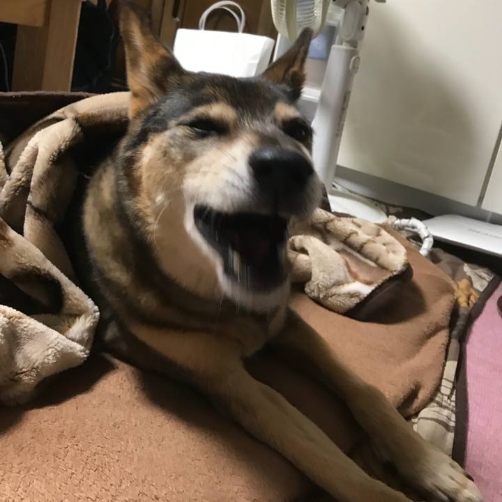 00064168 792b 404c 8a38 f9e17bb94442 1515335894123