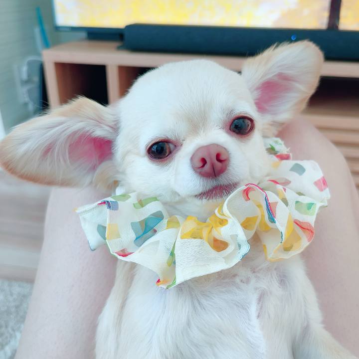 00064871 9b68 409b ab29 748e2240ad84 1686967370505