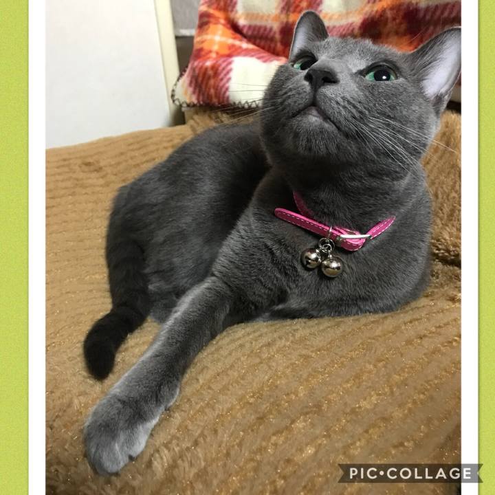 000677c8 e589 429f 91fa 1034fe0820a4 1521174125119