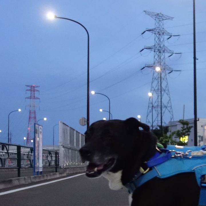 0006aef6 16f5 453f bfdd 01a37efb2192 1683543458284